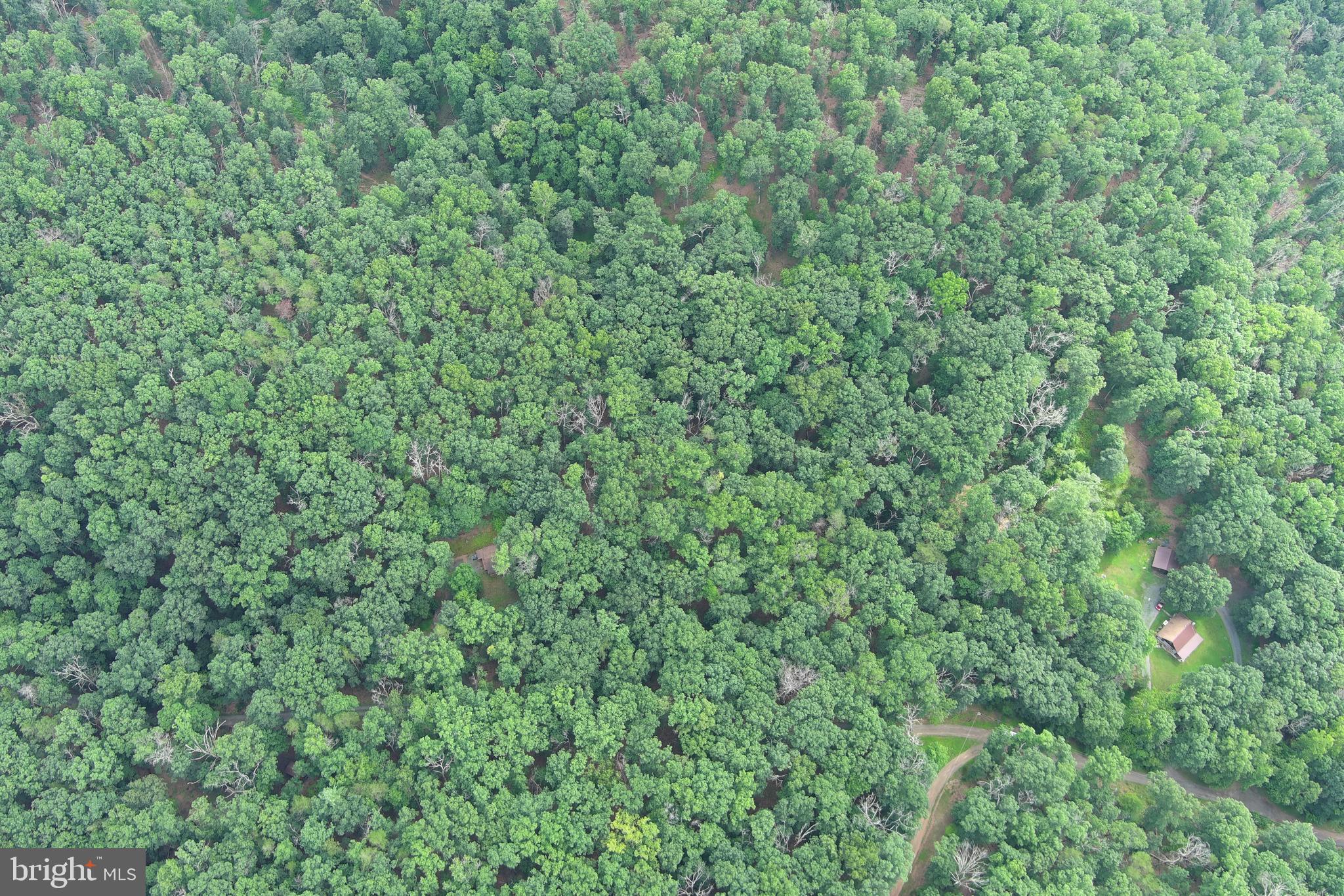 SOUTH POTOMAC TROUGH FARM II - Land