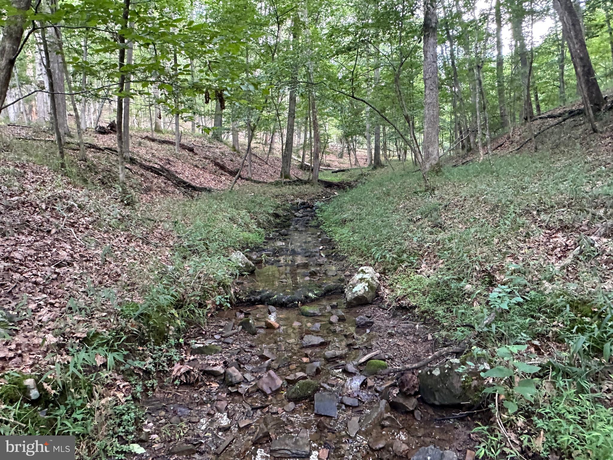 SOUTH POTOMAC TROUGH FARM II - Land
