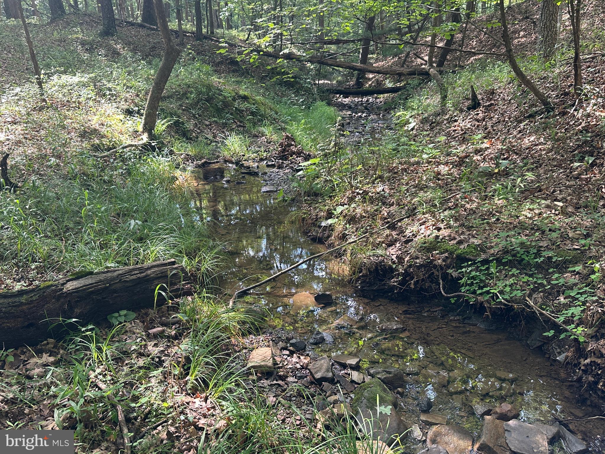 SOUTH POTOMAC TROUGH FARM II - Land