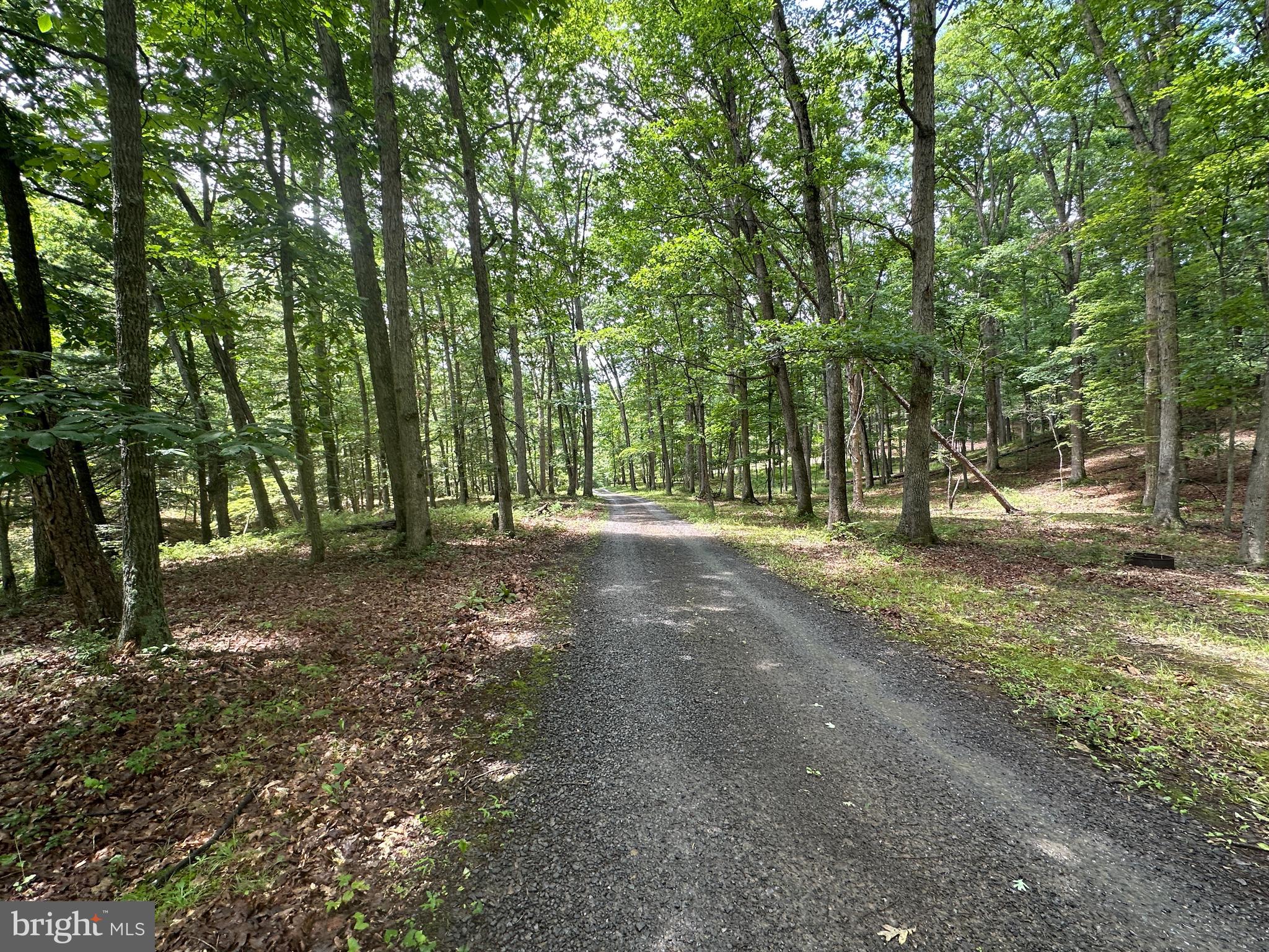 SOUTH POTOMAC TROUGH FARM II - Land