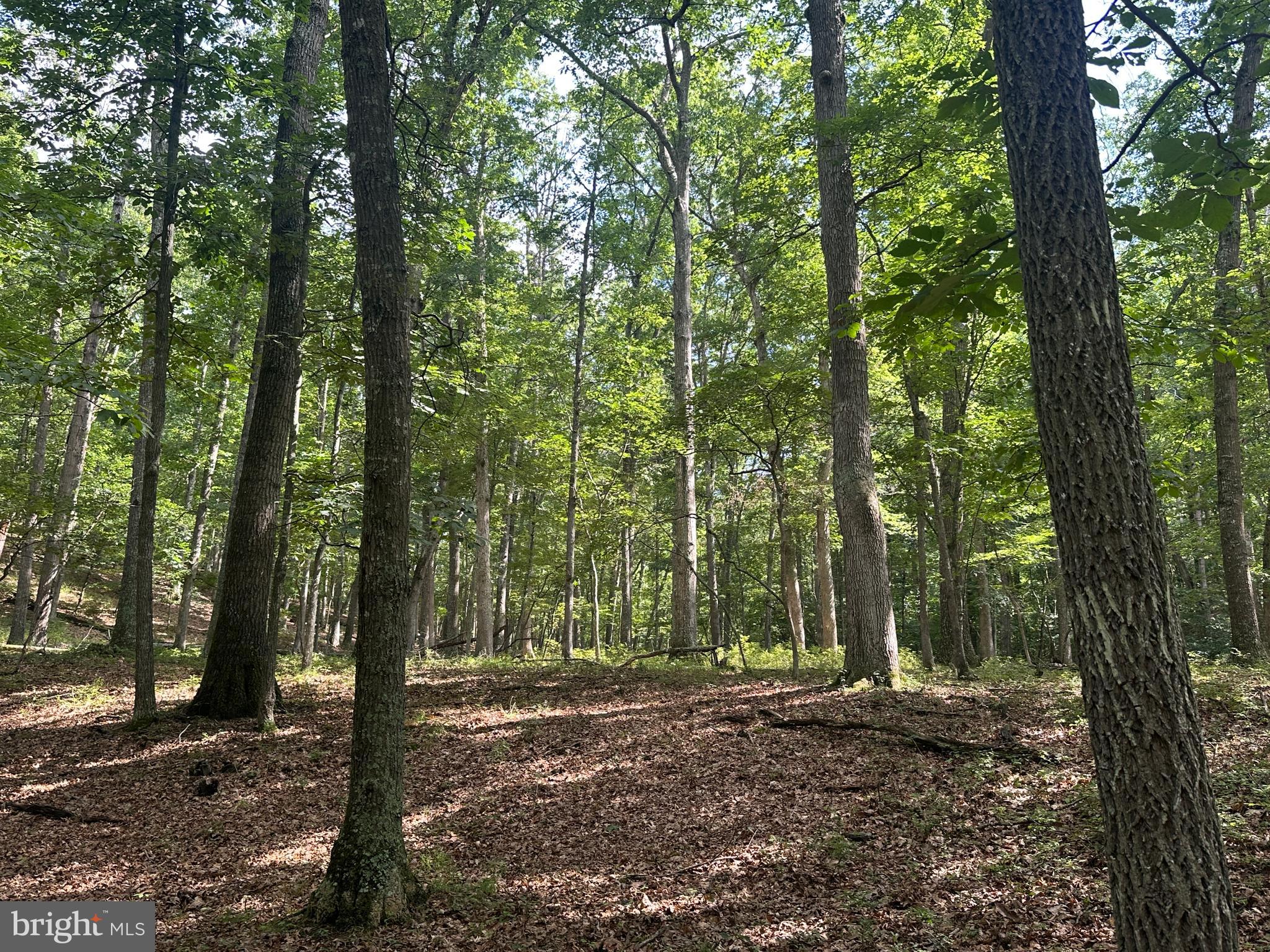 SOUTH POTOMAC TROUGH FARM II - Land