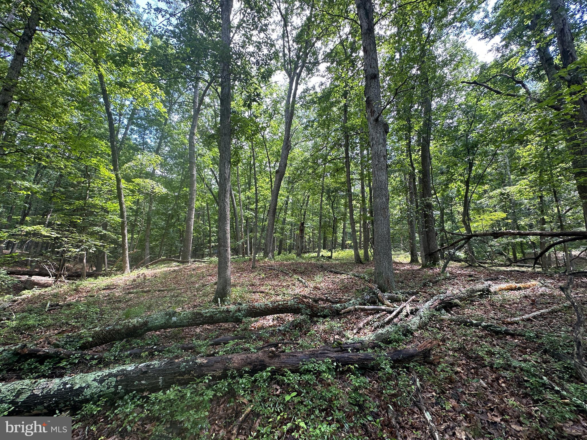 SOUTH POTOMAC TROUGH FARM II - Land