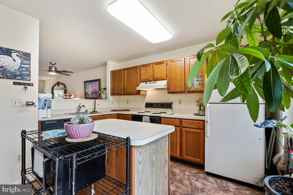 CEDAR GROVE AT CROFTON - Residential