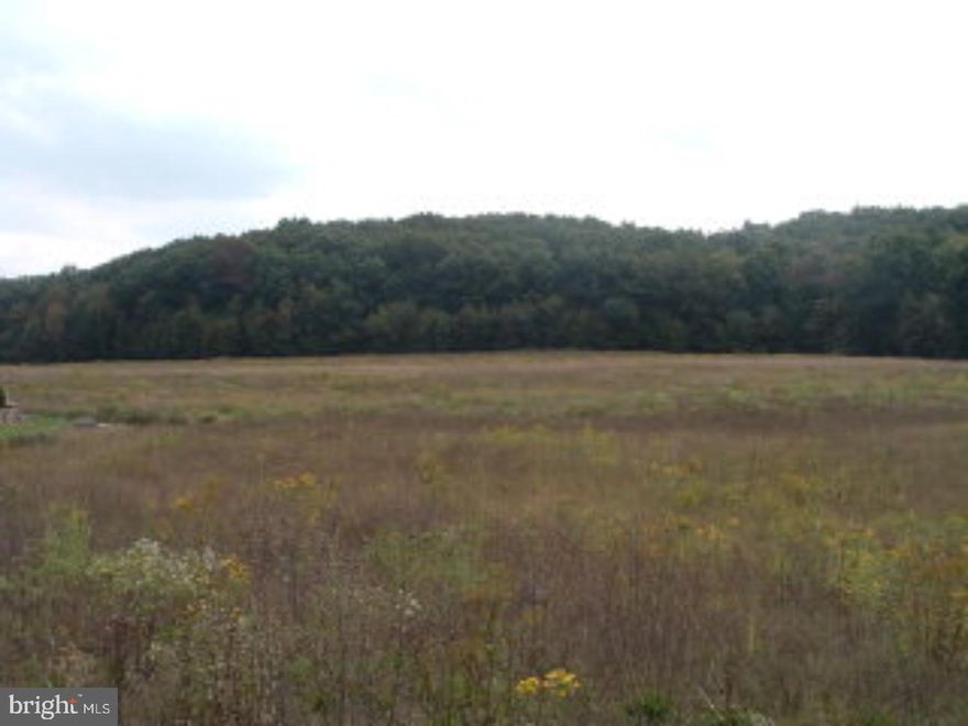6.72 ACRES OF BEAUTIFUL PANORAMIC VIEWS. PEACEFUL COUNTRY SETTING TO BUILD DREAM HOME, ANY BUILDER, INCLUDES TWP ROAD FRONTAGE, EASY ACCESS TO 81. SURVEY MAP AVAIL IN OFFICE. REQUIRES WELL & SEPTIC CALL AGENT FOR DETAILS.