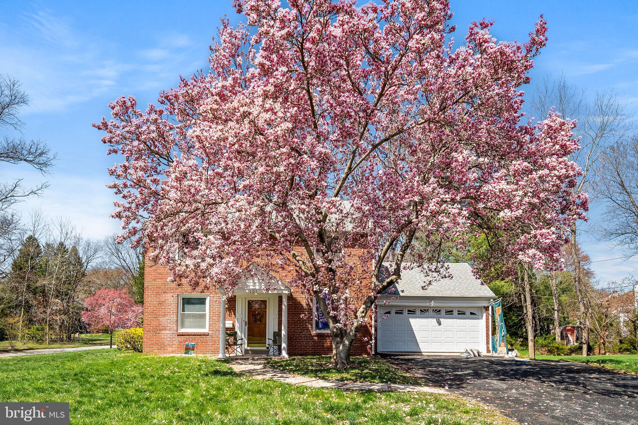 LAPIDEA HILLS - Residential