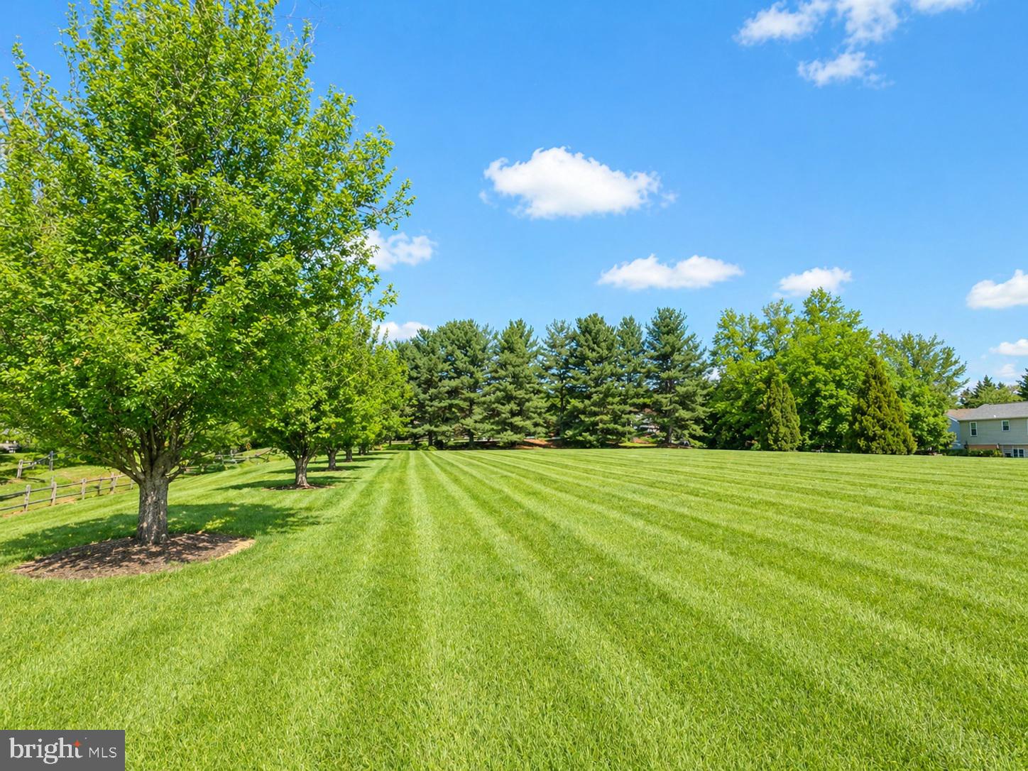 POTOMAC RIDGE - Residential