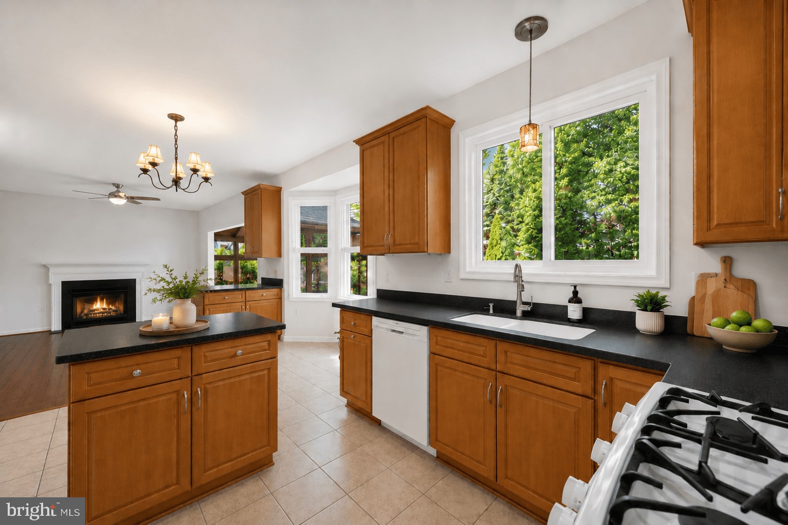 CHANTILLY HIGHLANDS - Residential