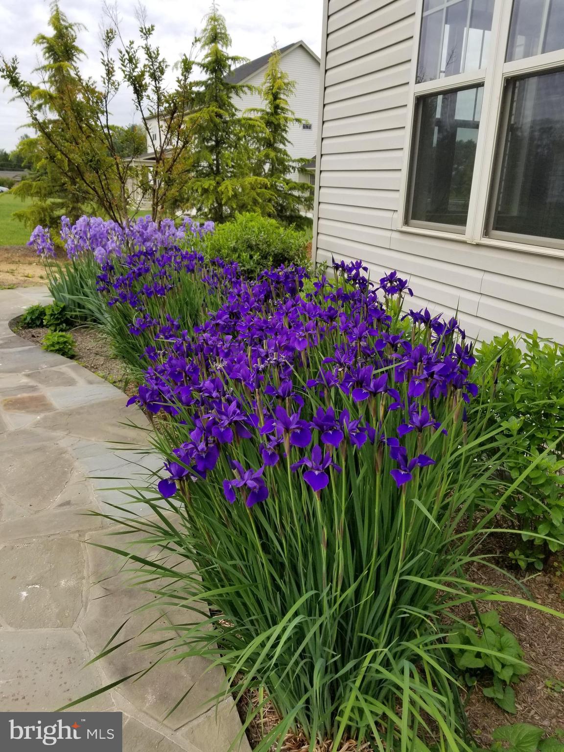 HARMONY VISTA - Residential