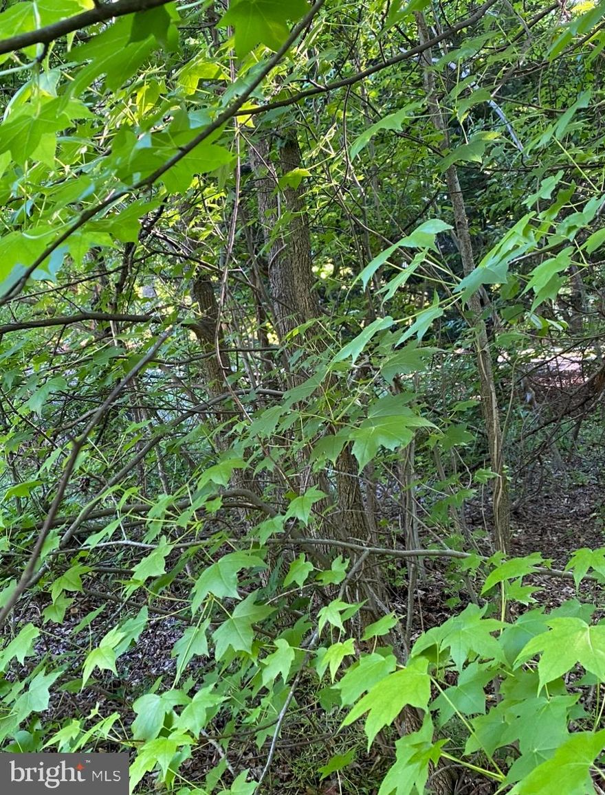 Lot for sale for custom home to be built by SDR Homes