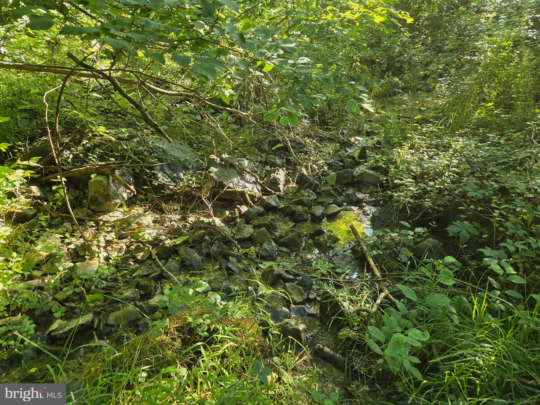 JOHNSTON WOODSTOCK - Residential