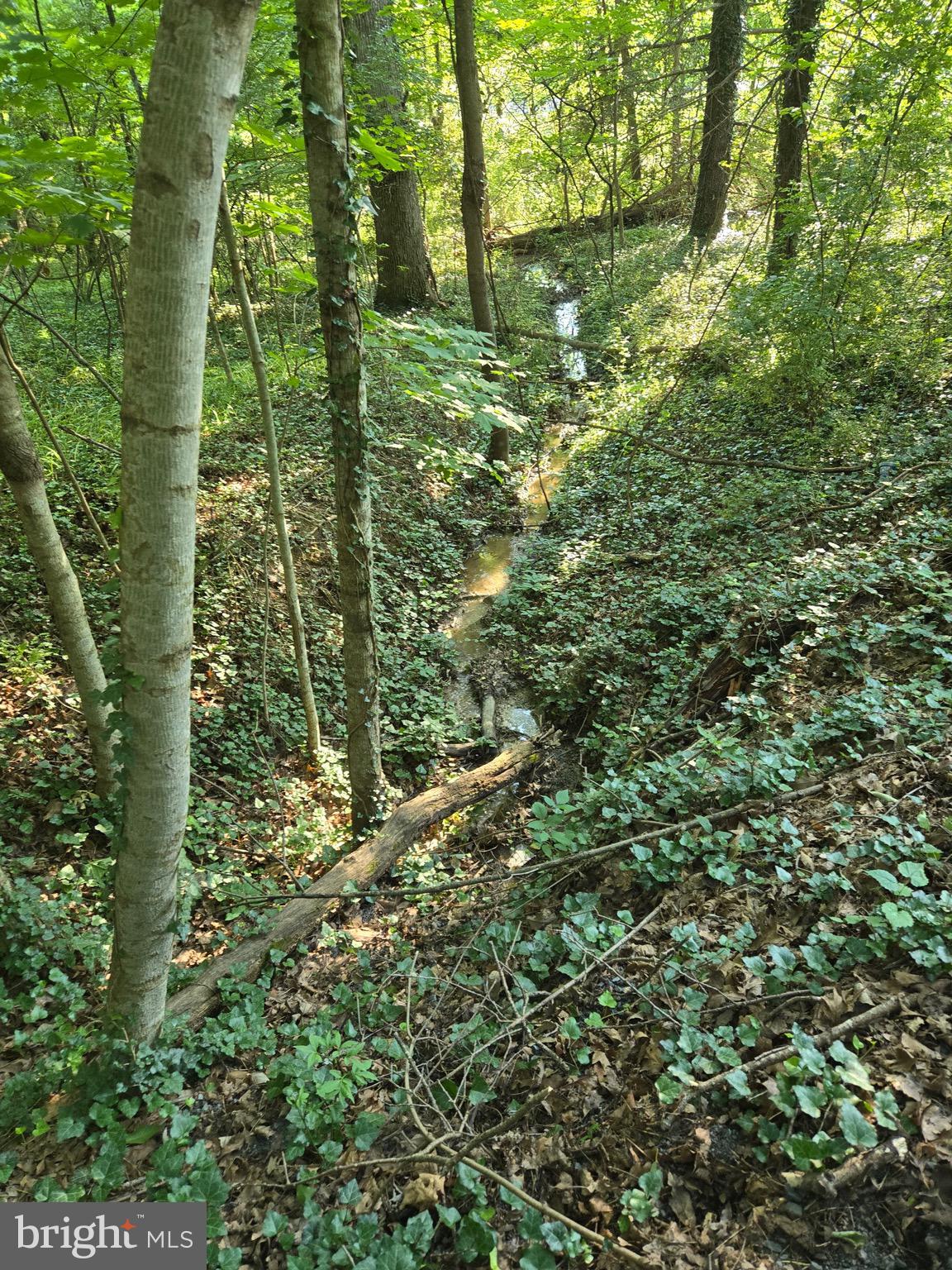 JOHNSTON WOODSTOCK - Residential