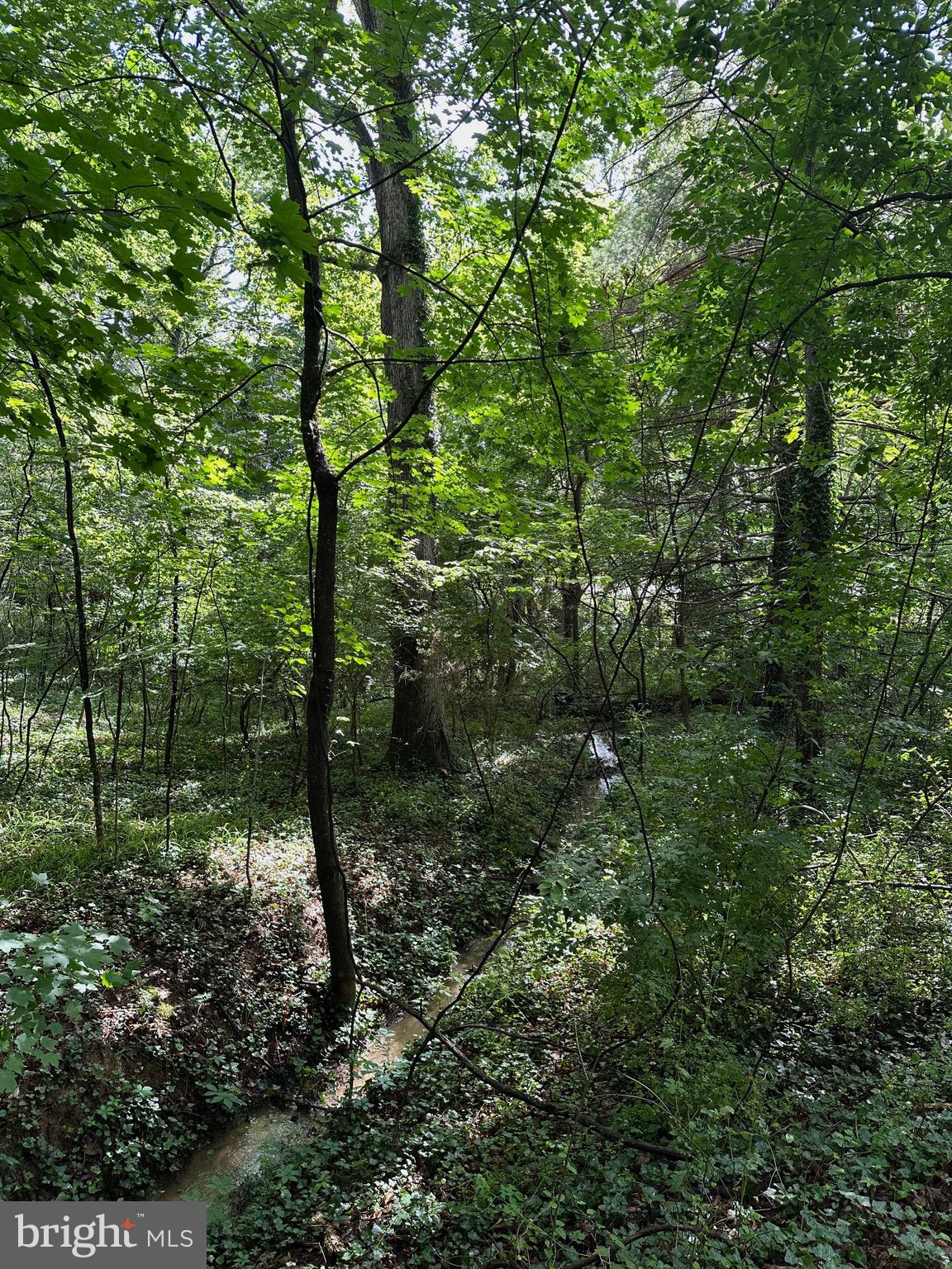 JOHNSTON WOODSTOCK - Residential