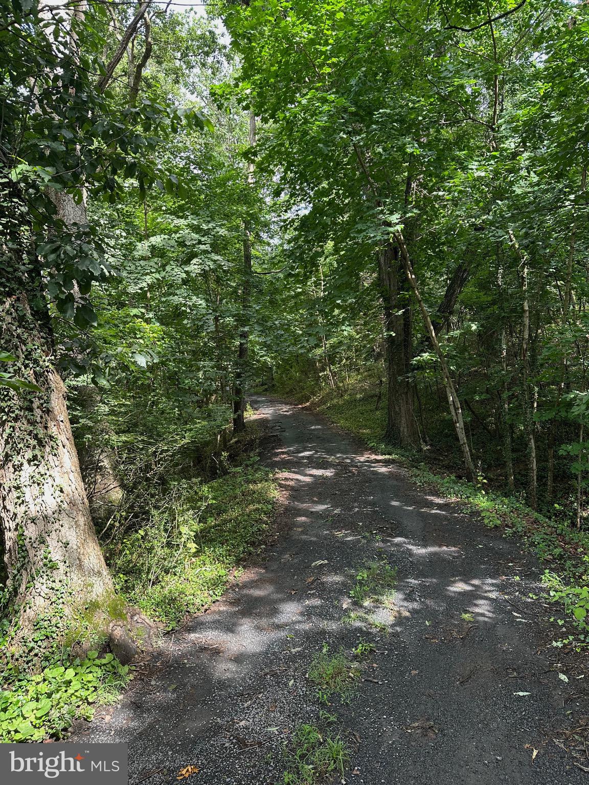 JOHNSTON WOODSTOCK - Residential