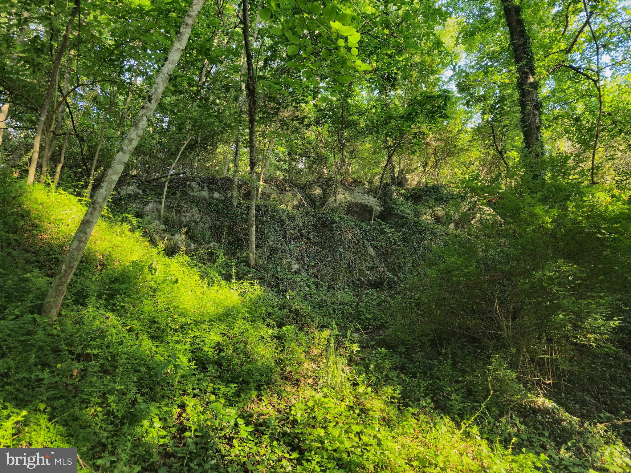 JOHNSTON WOODSTOCK - Residential