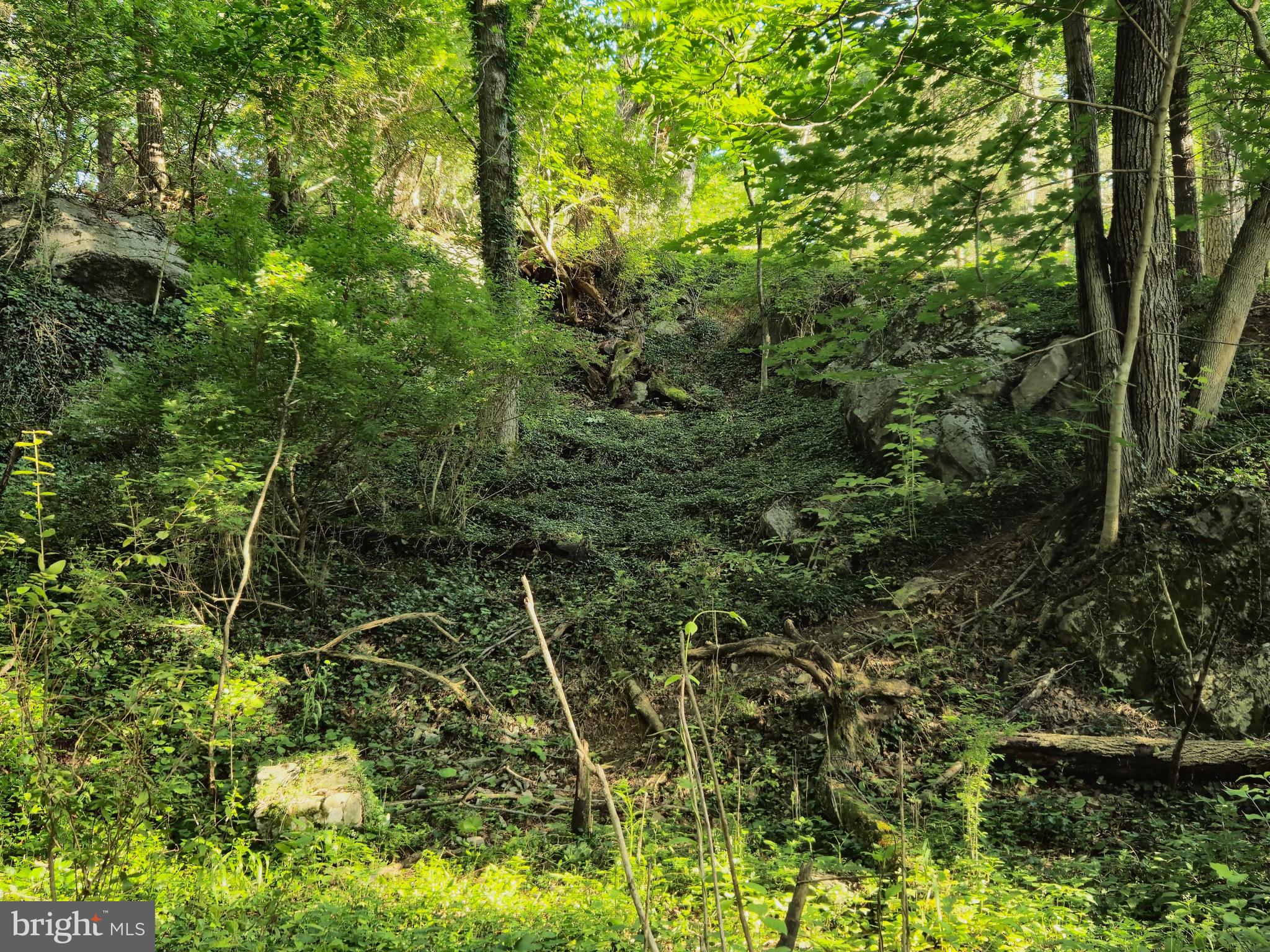 JOHNSTON WOODSTOCK - Residential