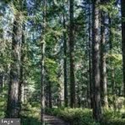 Rte 9 LOT 12 SECLUDED LANE GEORGETOWN DE 19947