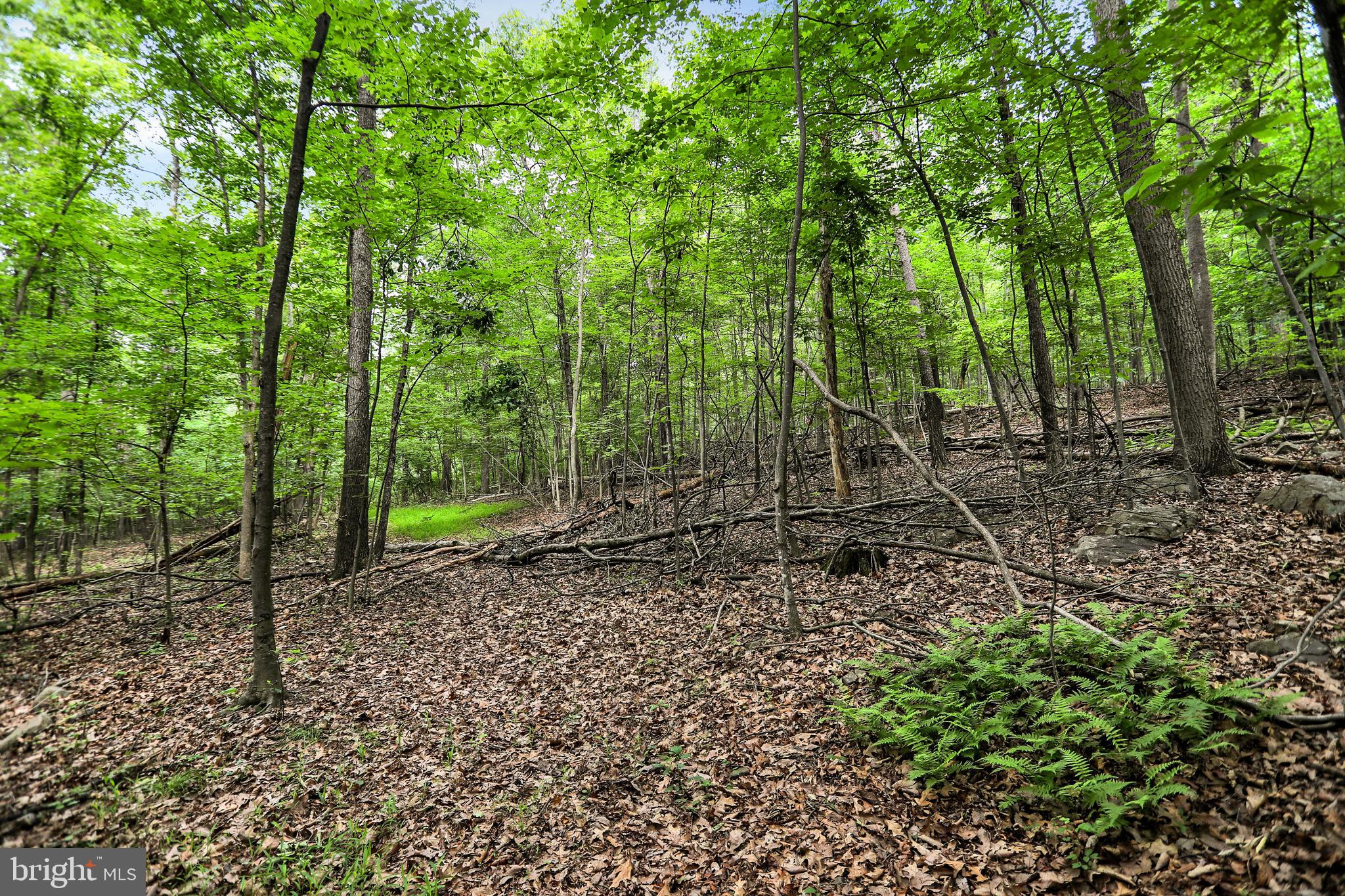 999 BUCKS VALLEY ROAD