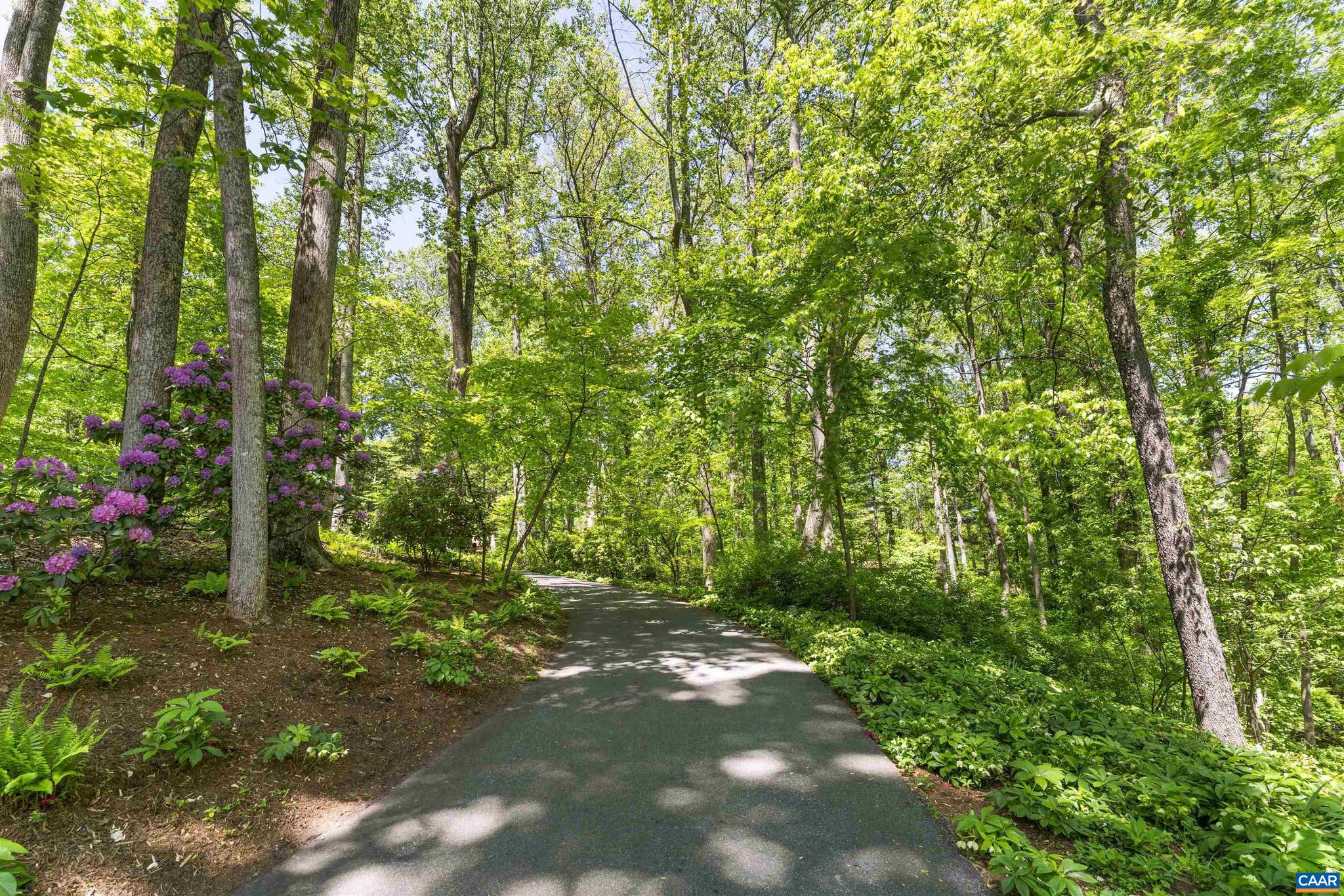 EDNAM FOREST - Residential