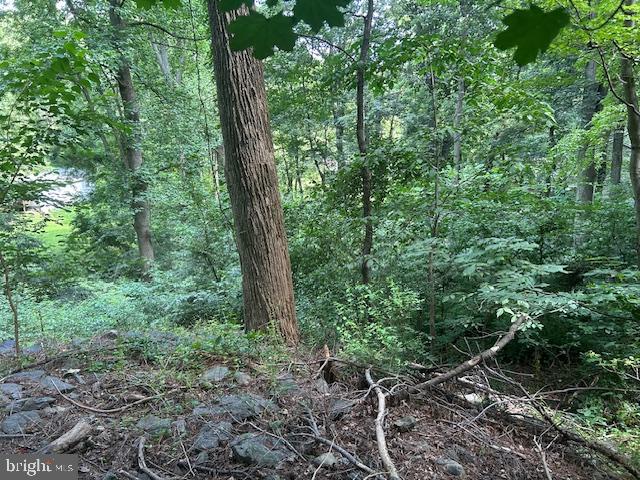 NONE AVAILABLE - Land