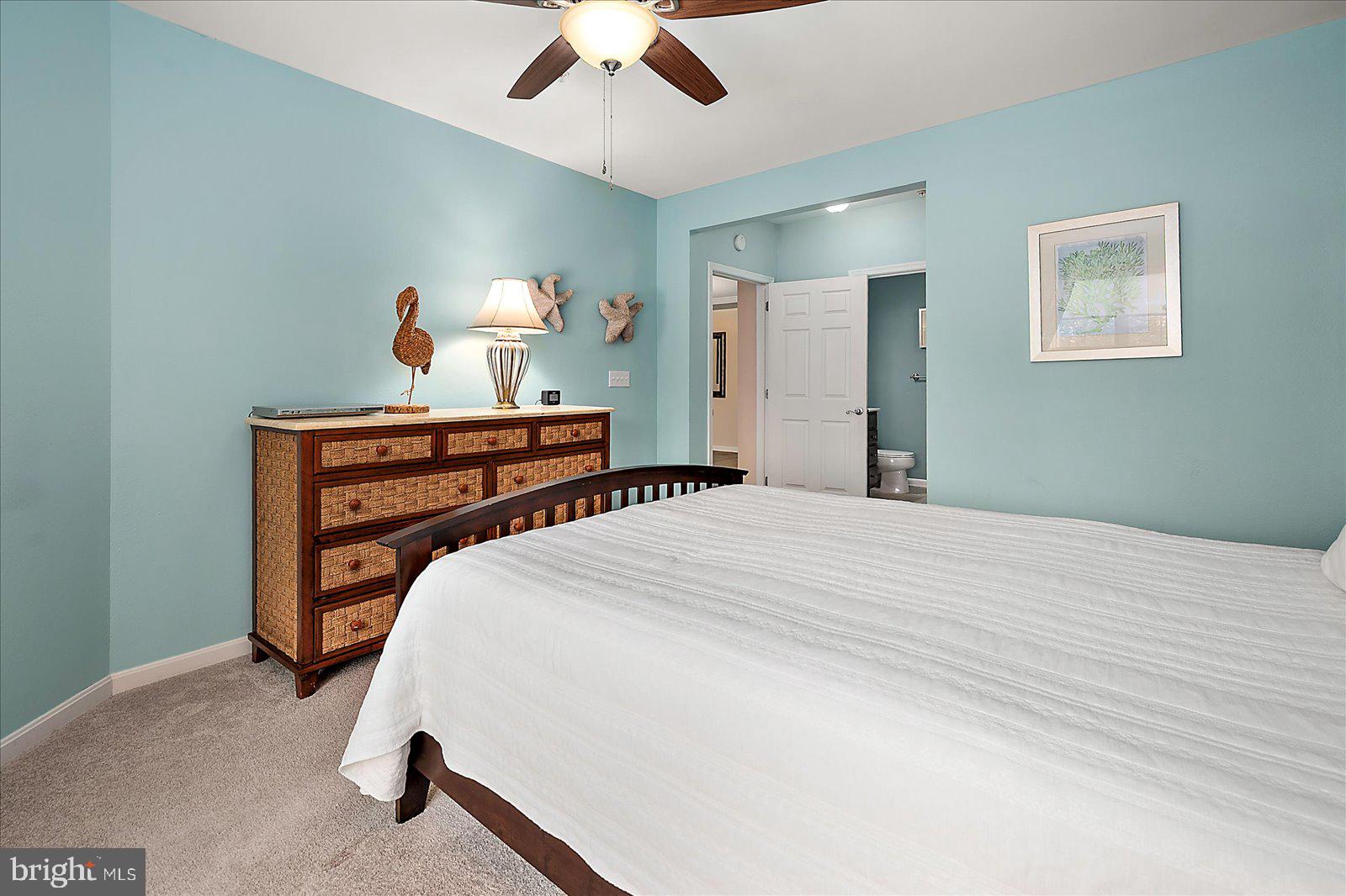 BAYSIDE - Residential