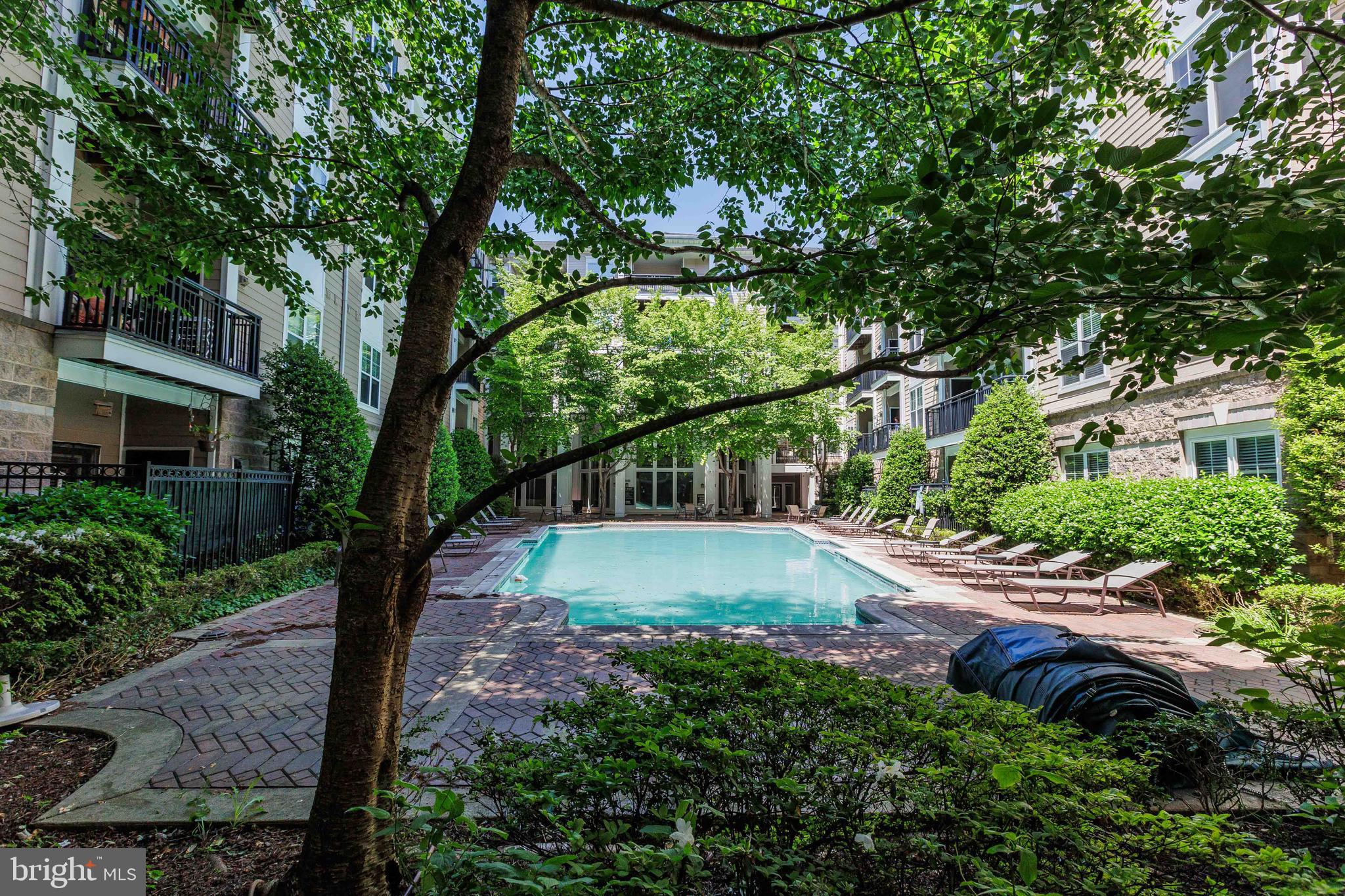 FITZ AT ROCKVILLE TOWN C - Residential