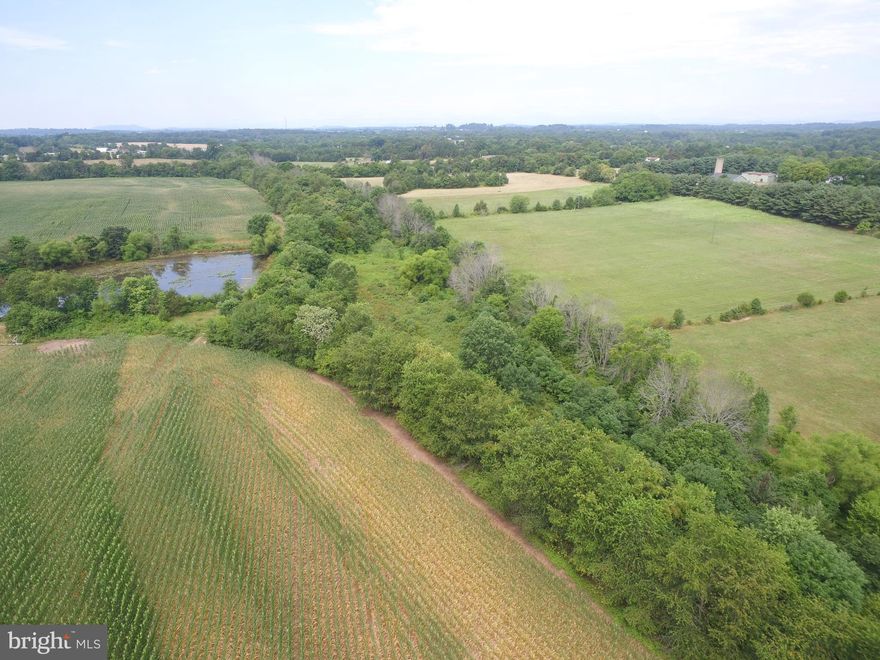 32 acres of open farm land within 10 minutes of downtown Culpeper.  Land is currently planted in corn, which will be harvested this fall.  Agreement with farmer allows him however much time needed to harvest his crop.  Nicely rolling topography with one stream..  Currently in land use.  This is your opportunity to obtain a farm and build the house and facilities of your choice.  Secluded yet close to town.