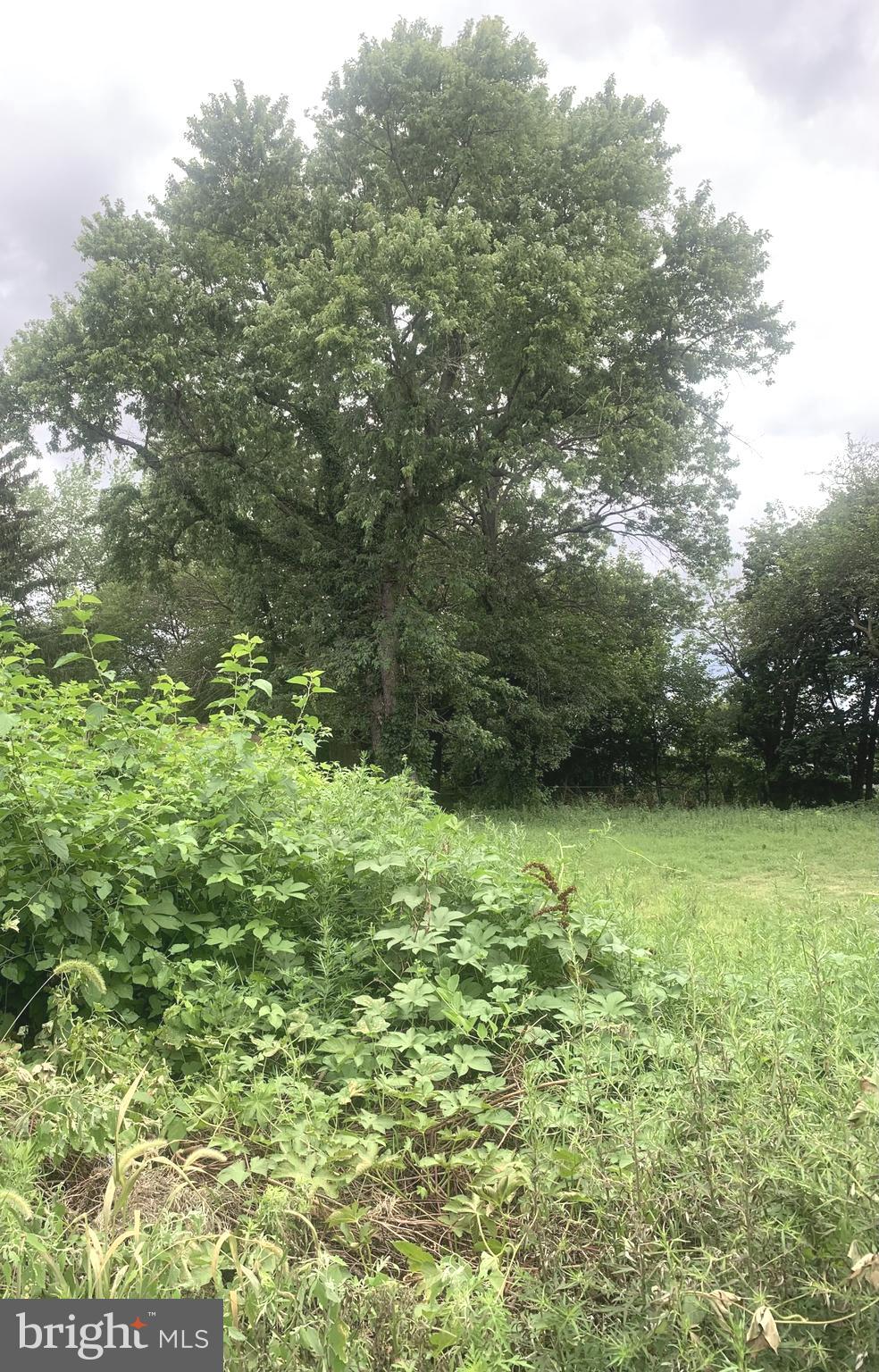 3027 MORRISON STREET