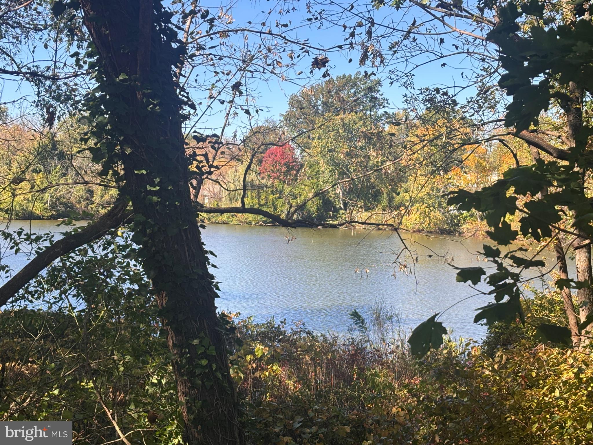 35 W LAKEVIEW AVENUE A