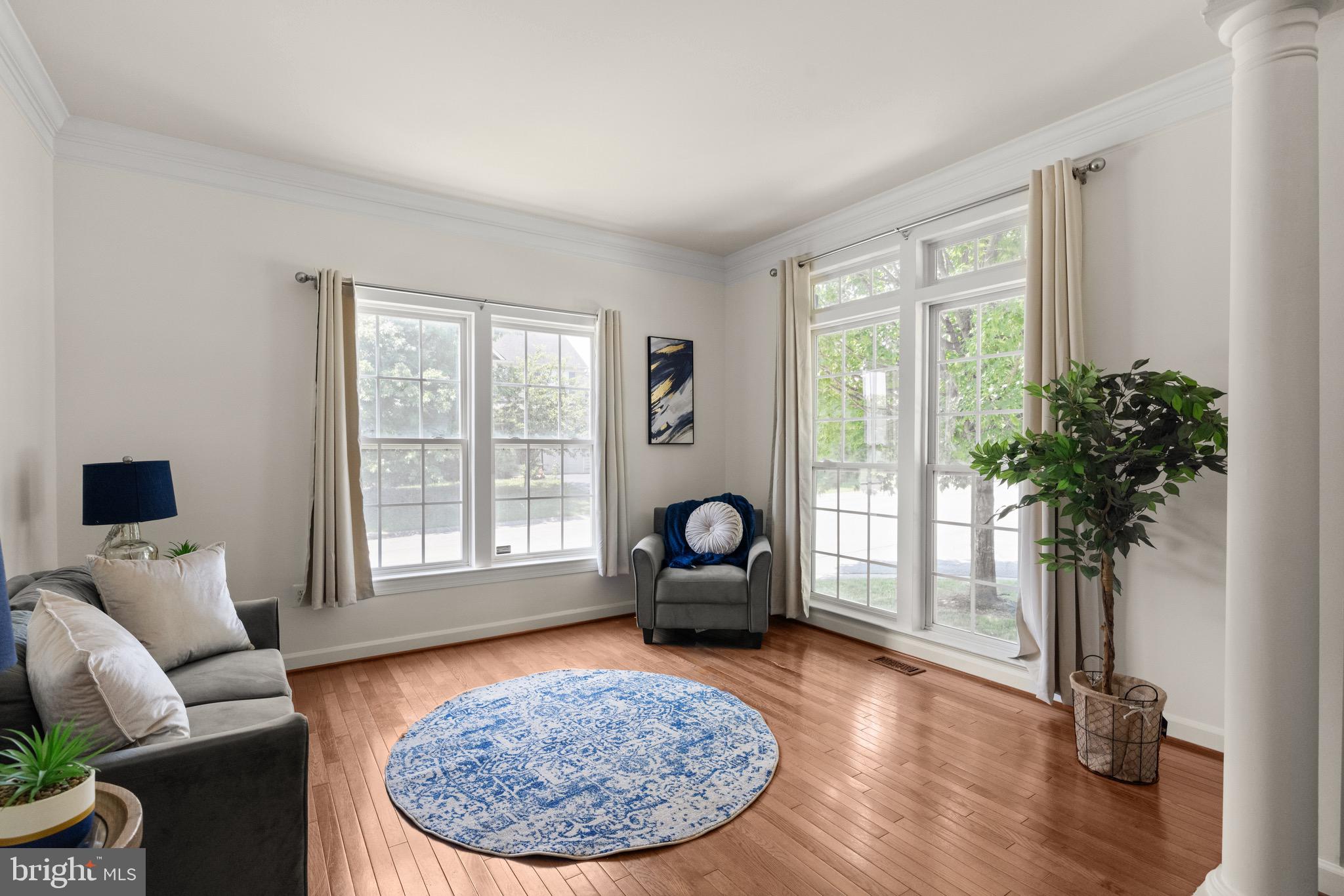 VILLAGE OF WASHINGTON TRAIL - Residential