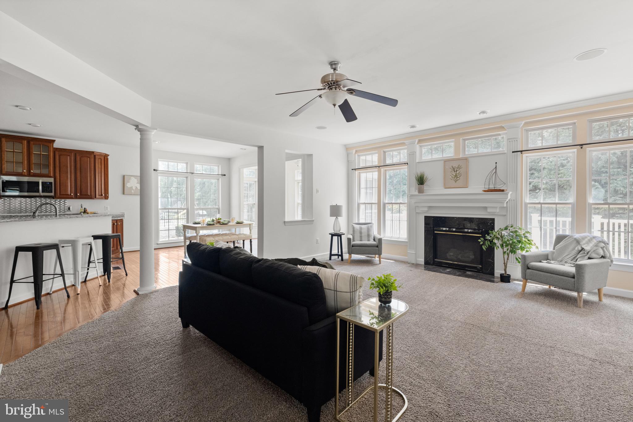 VILLAGE OF WASHINGTON TRAIL - Residential