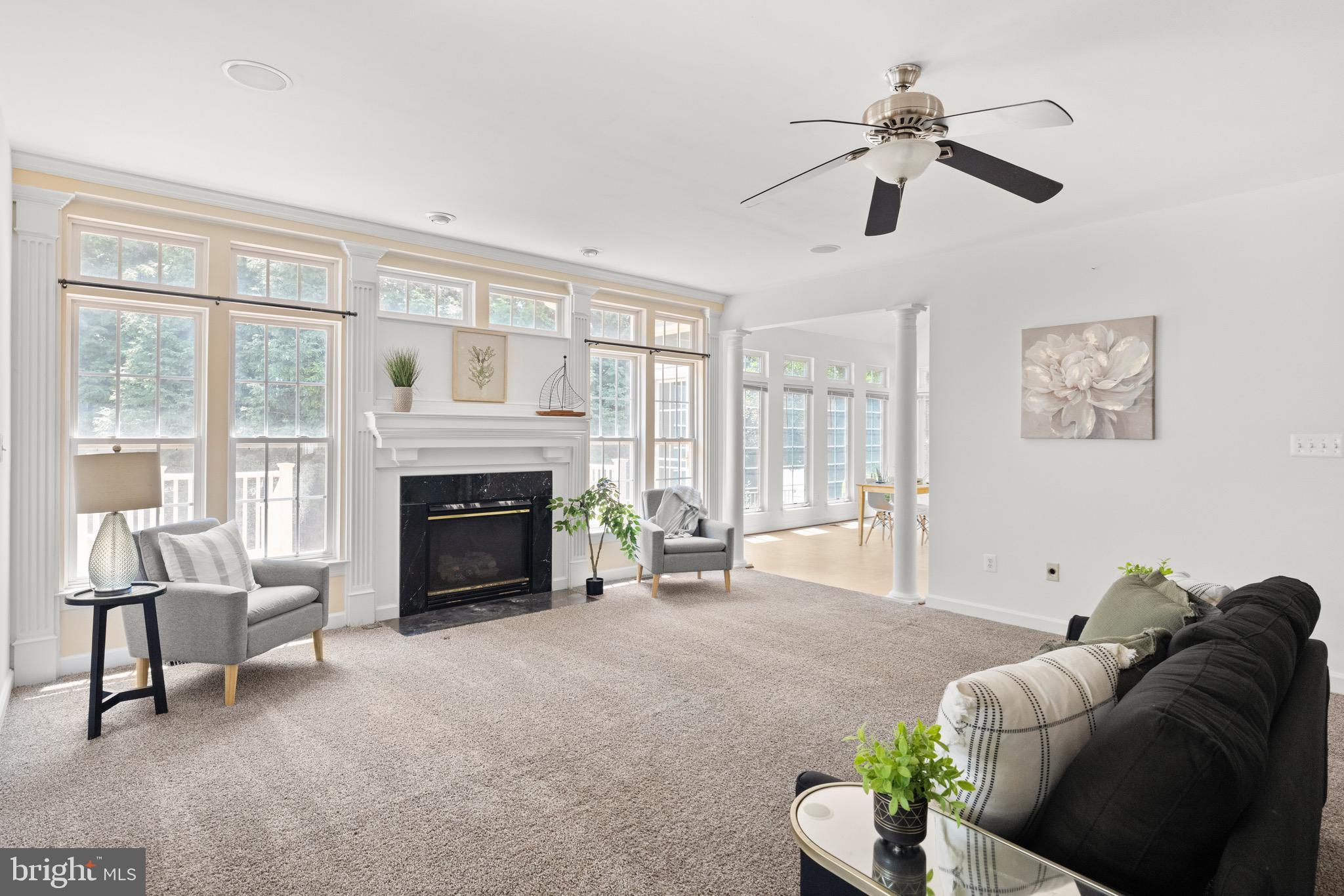 VILLAGE OF WASHINGTON TRAIL - Residential