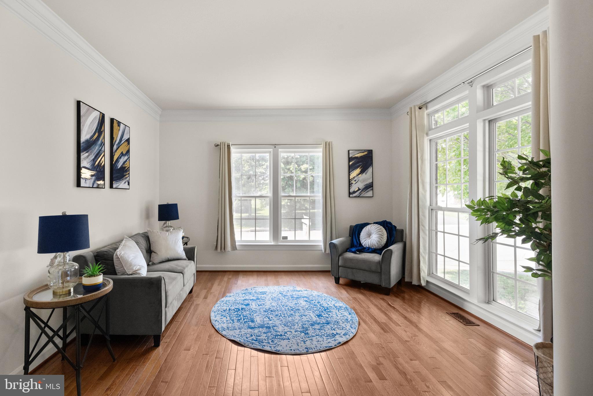 VILLAGE OF WASHINGTON TRAIL - Residential