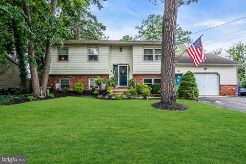 206 PIUTE TRAIL BROWNS MILLS NJ 08015