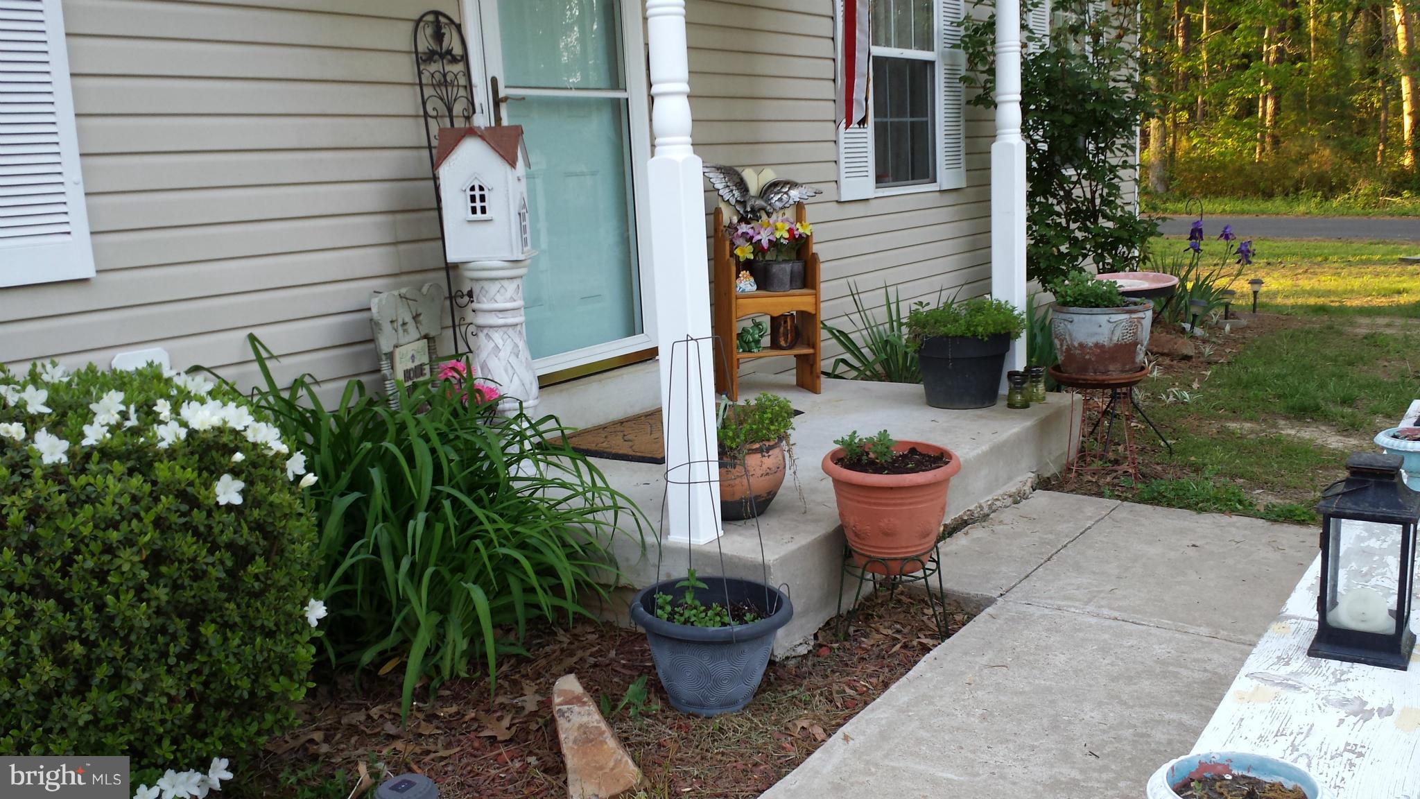 COBB ISLAND - Residential