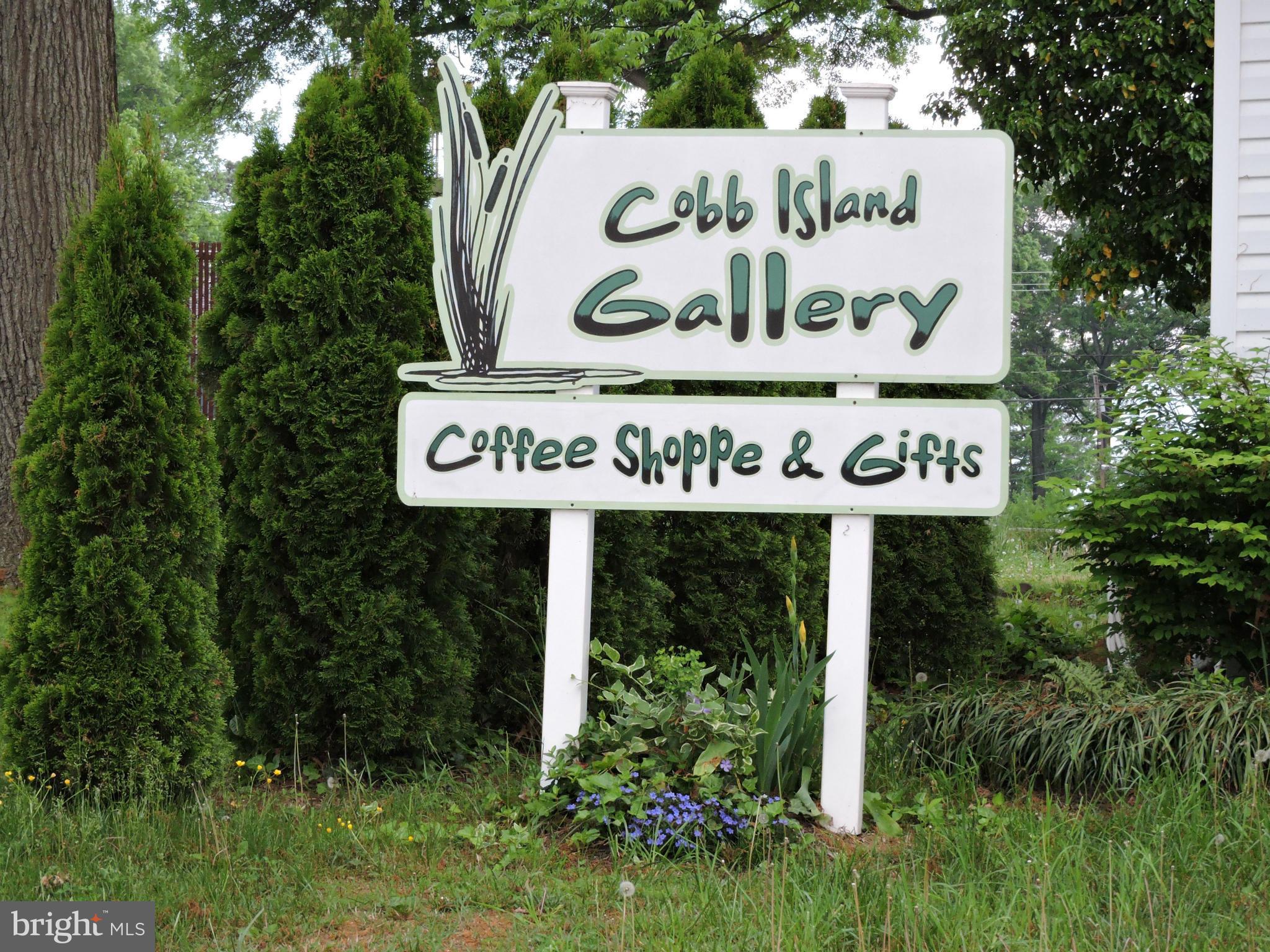 COBB ISLAND - Residential