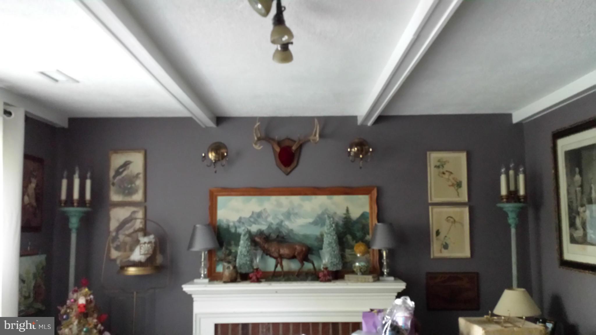 COBB ISLAND - Residential