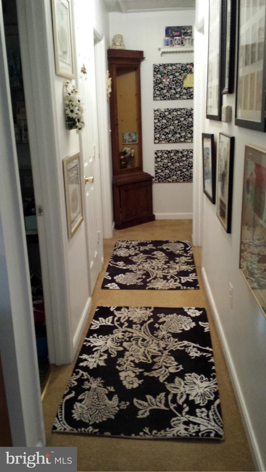 COBB ISLAND - Residential