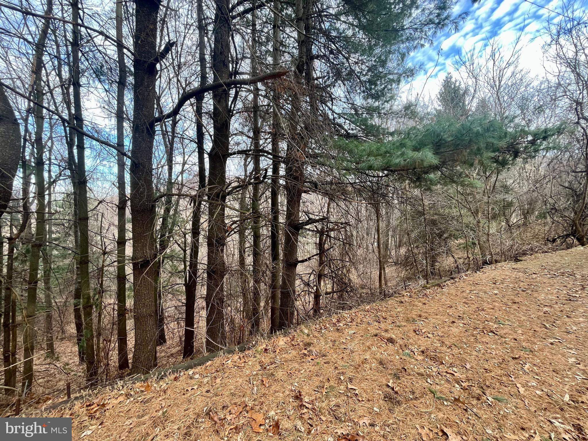 SHENANDOAH HIGHLANDS - Residential