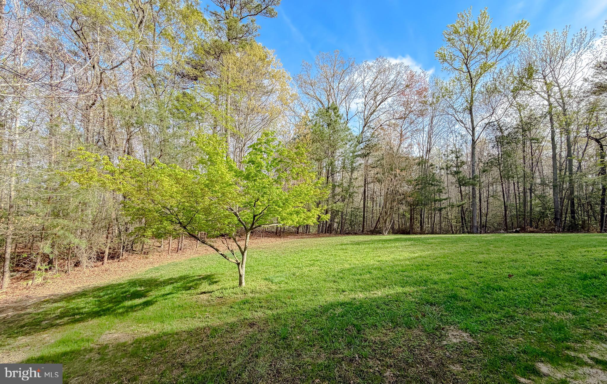 CHESAPEAKE WOODS - Residential