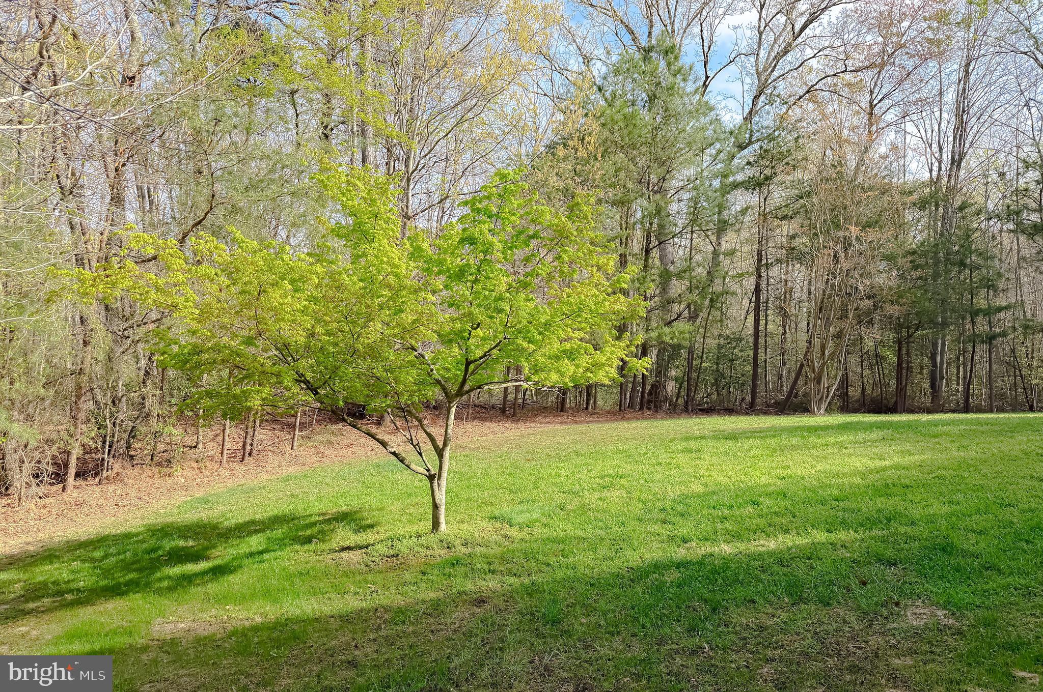 CHESAPEAKE WOODS - Residential