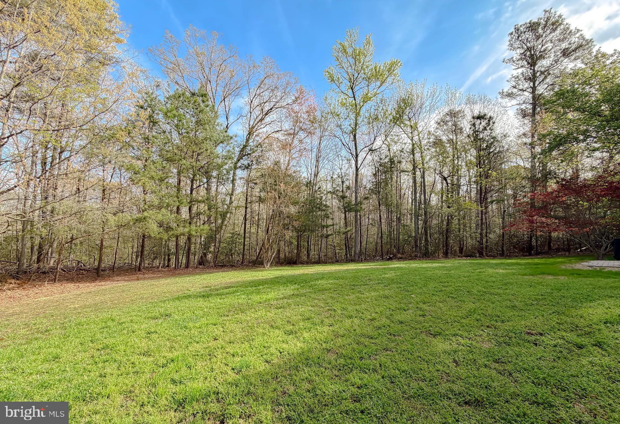 CHESAPEAKE WOODS - Residential