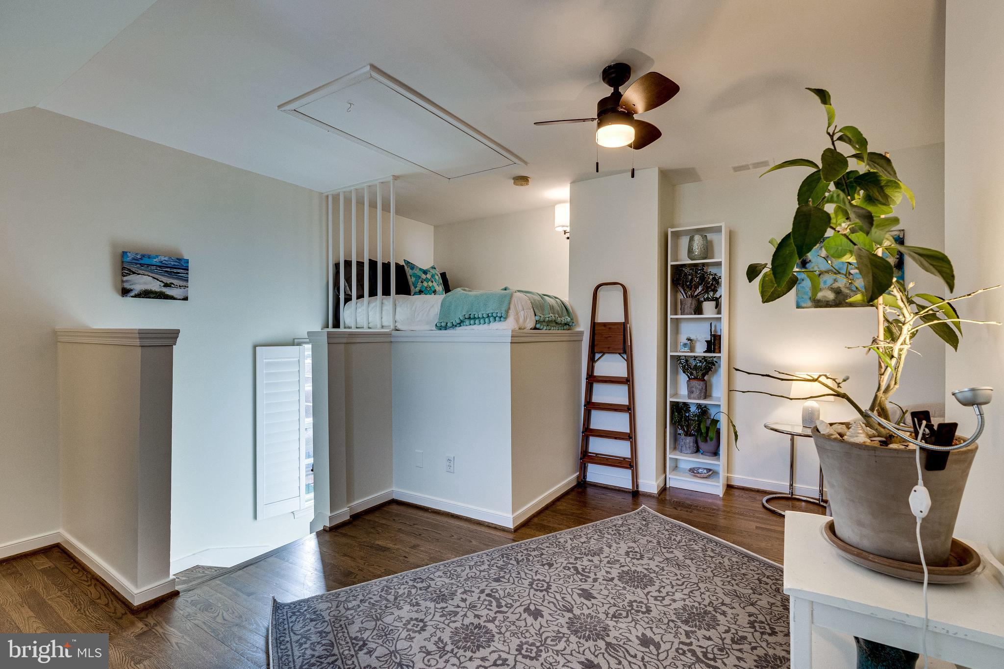 SHAD ROW - Residential