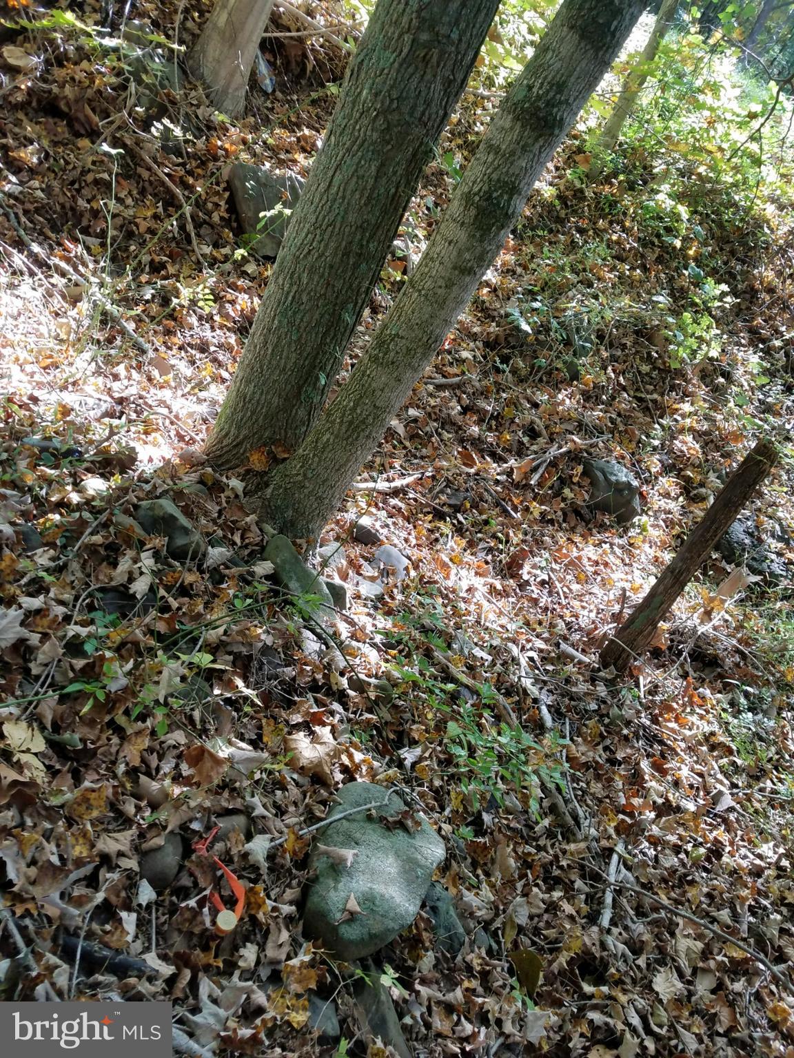 NONE AVAILABLE - Land