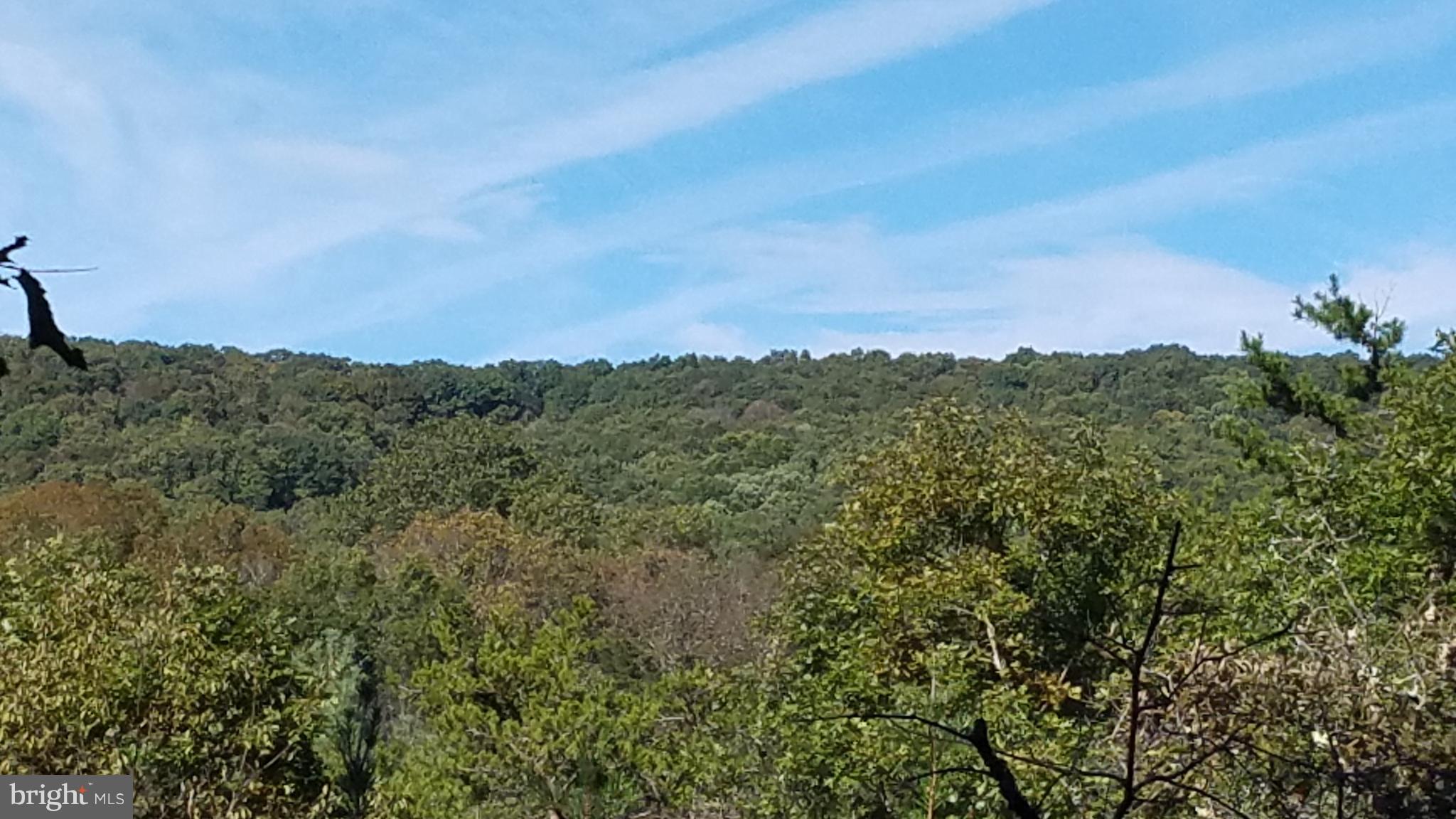 NONE AVAILABLE - Land