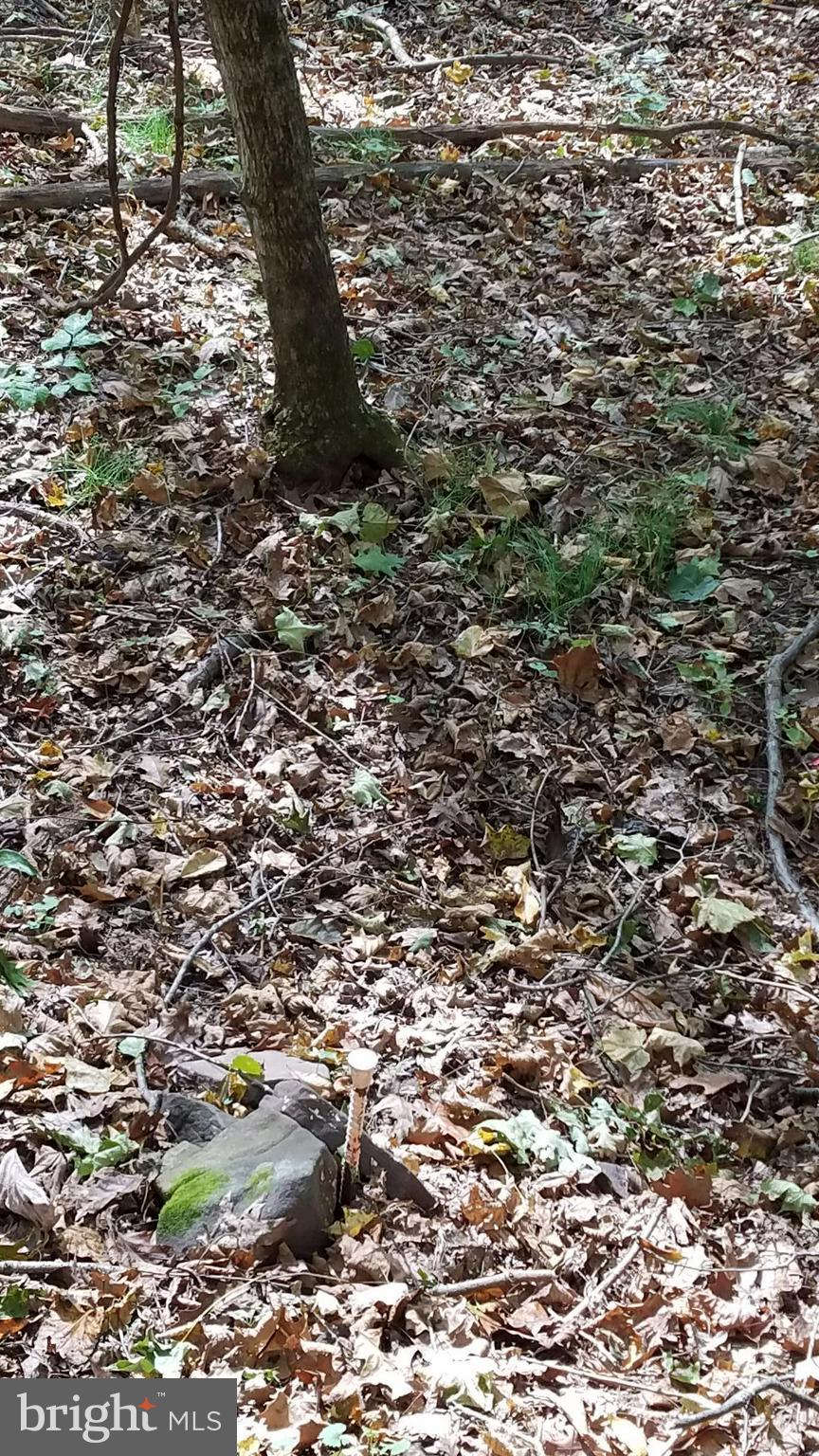 NONE AVAILABLE - Land