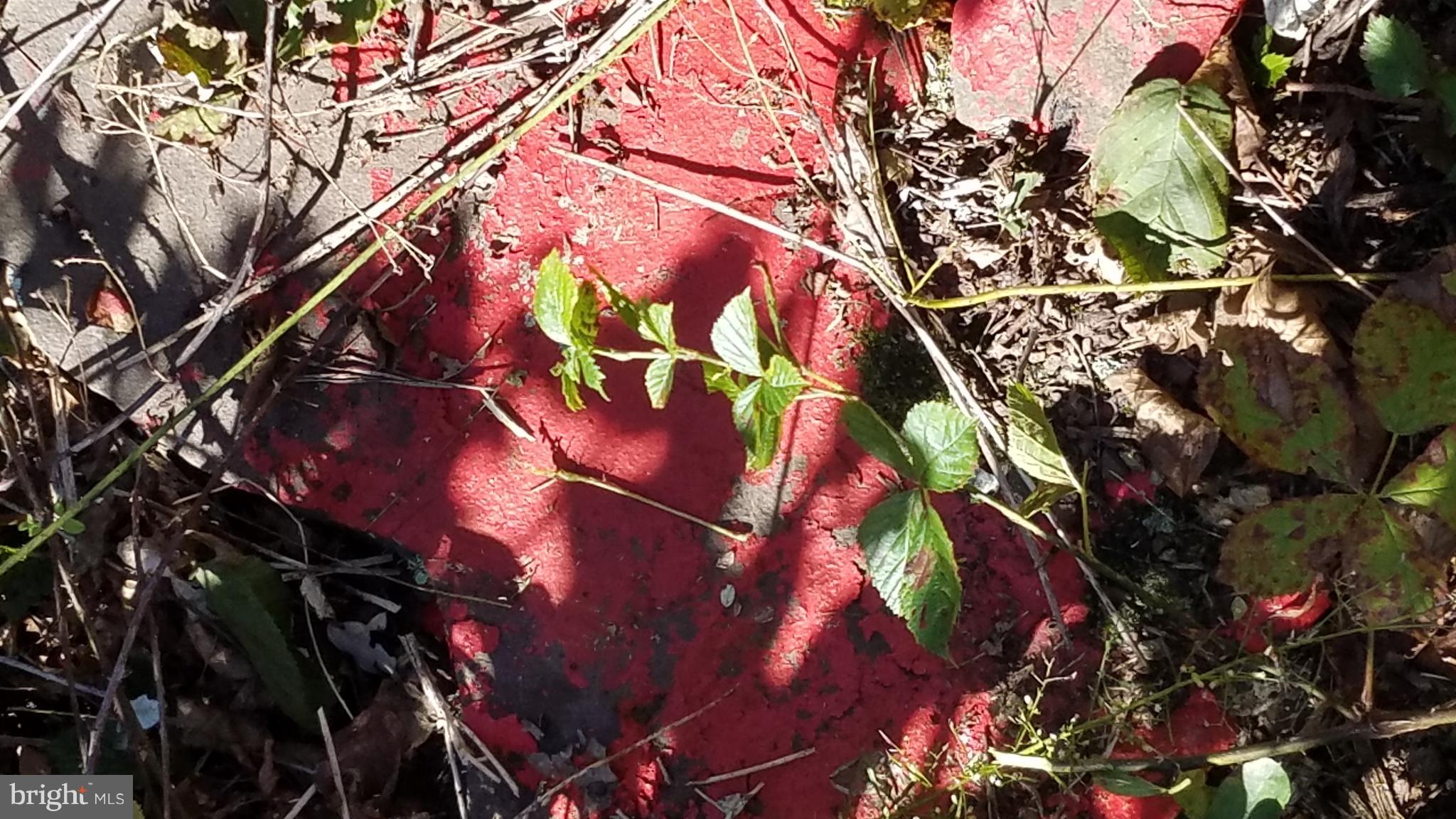 NONE AVAILABLE - Land