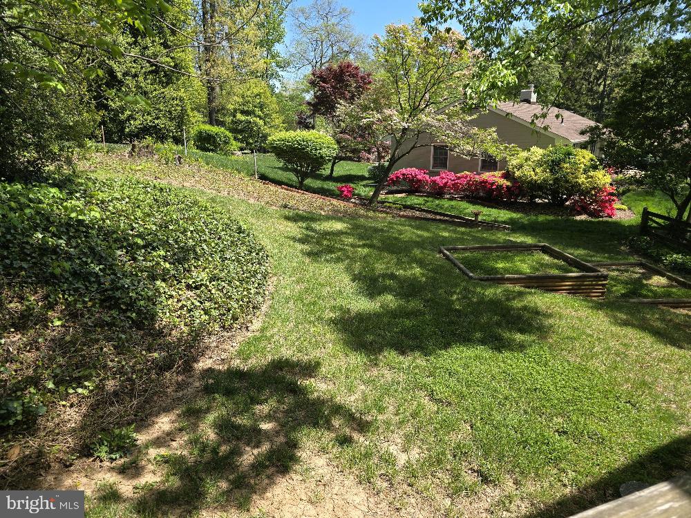 NORTH SPRINGFIELD - Residential Lease