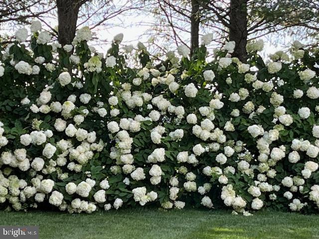 BRIDLEWOOD FARMS - Residential