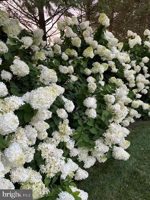 BRIDLEWOOD FARMS - Residential