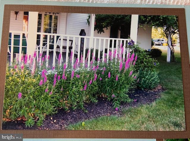 BRIDLEWOOD FARMS - Residential